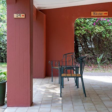 Gooderson Bushlands Game Lodge Хлухлуве Екстериор снимка