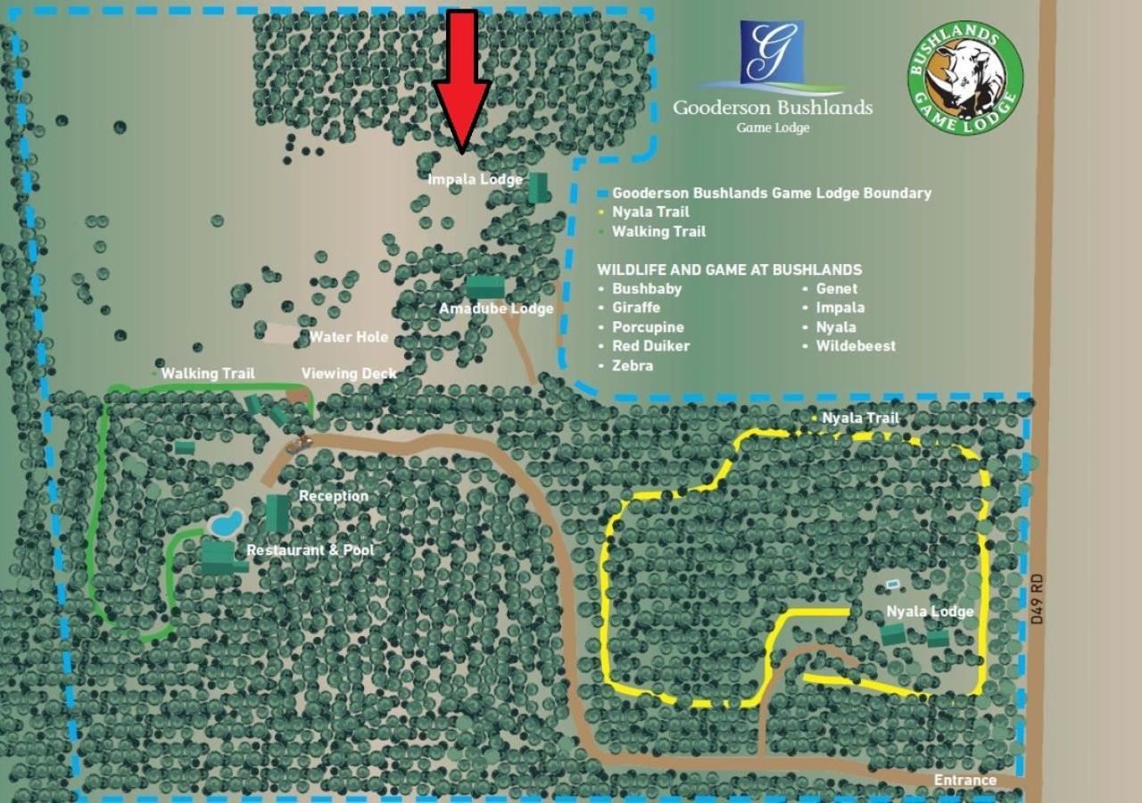 Gooderson Bushlands Game Lodge Хлухлуве Екстериор снимка