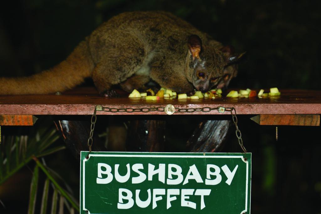 Gooderson Bushlands Game Lodge Хлухлуве Екстериор снимка