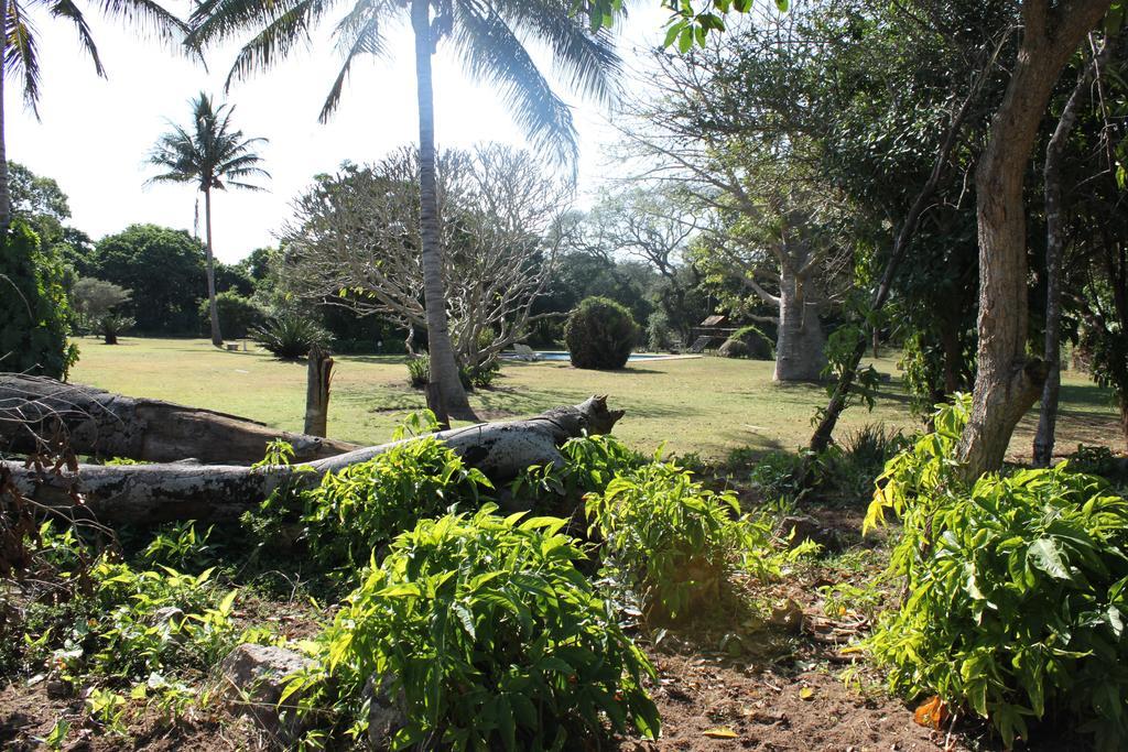 Gooderson Bushlands Game Lodge Хлухлуве Екстериор снимка
