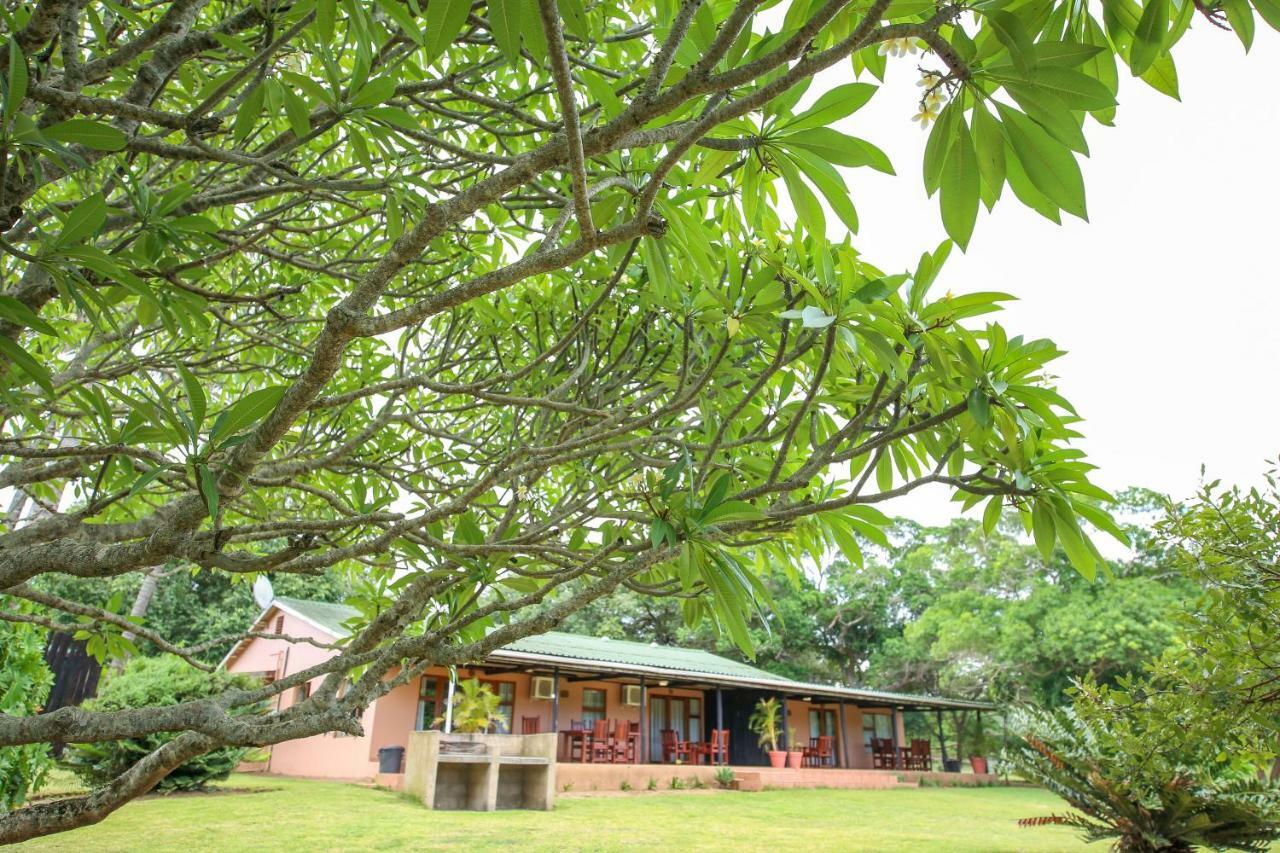 Gooderson Bushlands Game Lodge Хлухлуве Екстериор снимка