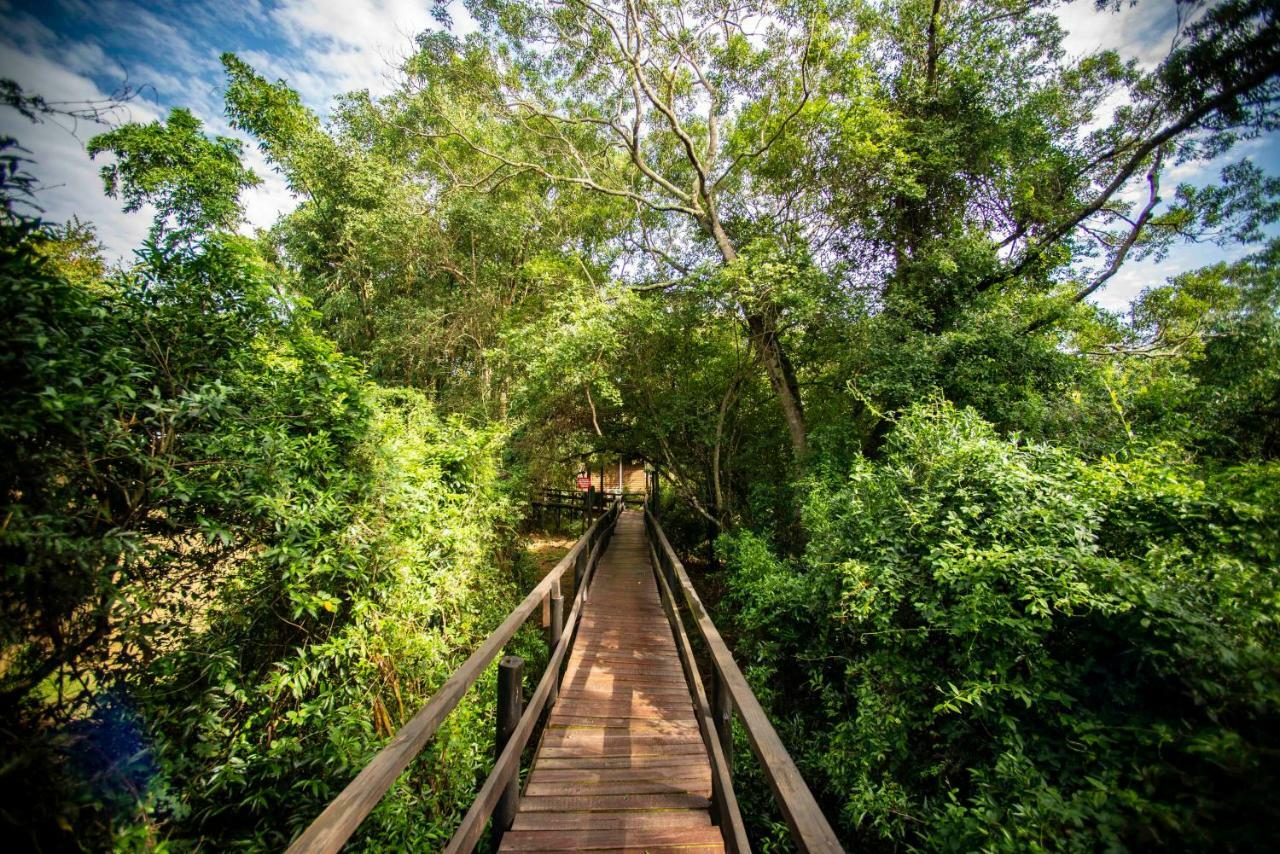 Gooderson Bushlands Game Lodge Хлухлуве Екстериор снимка